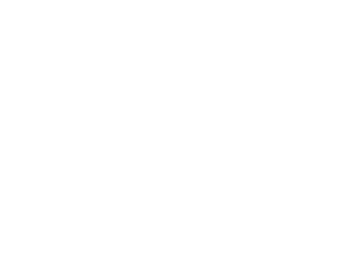 White logo on a white background.