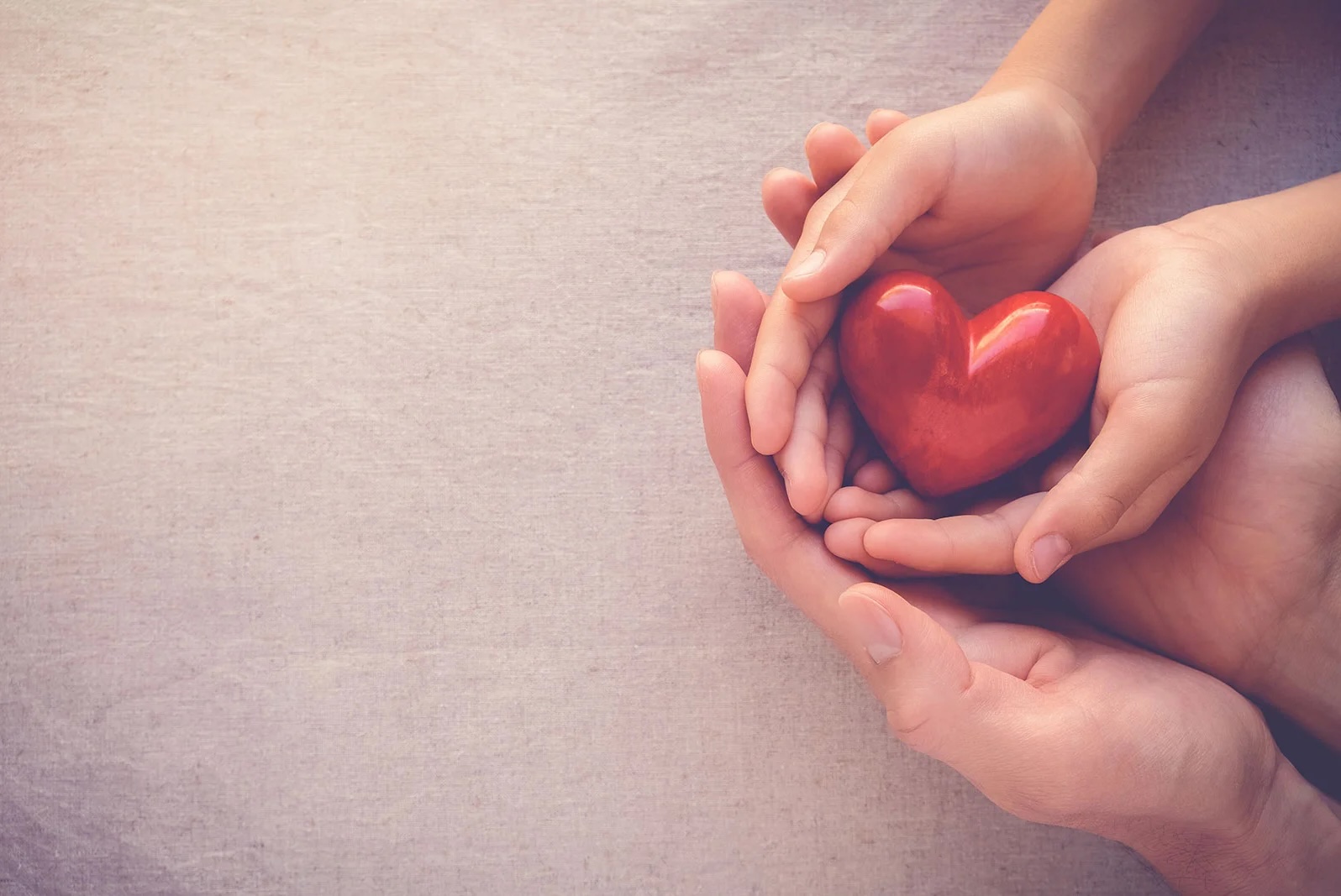 Adult and child hands cupping red heart.